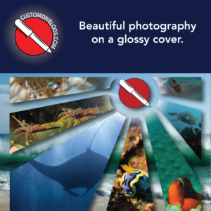 beautiful photography on a glossy cover